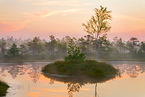 Horseback riding holidays in Latvia, Lithuania, Estonia