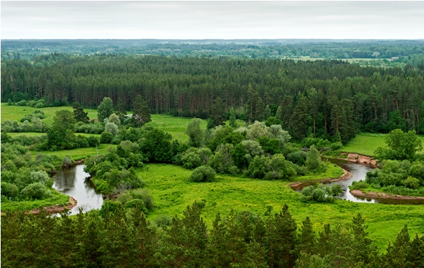 Horseback riding holidays in Baltic States