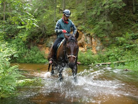 Horseback riding holidays