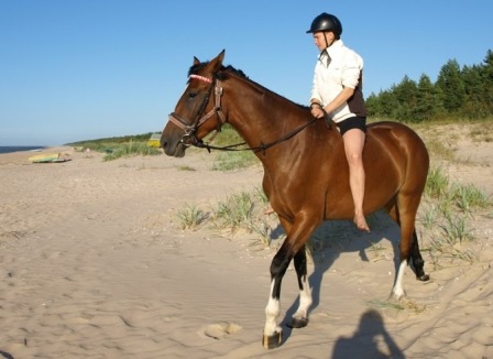 Equestrian holidays