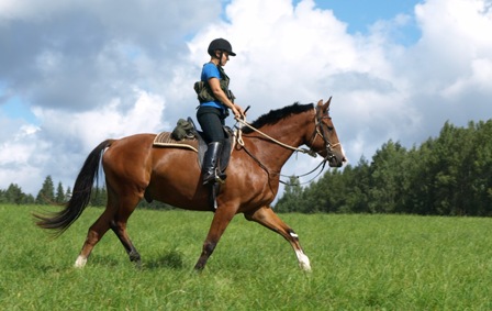 Equestrian holidays