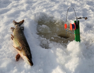 Outdoor guide ice fishing