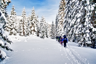 Outdoor guide cross country ski tour