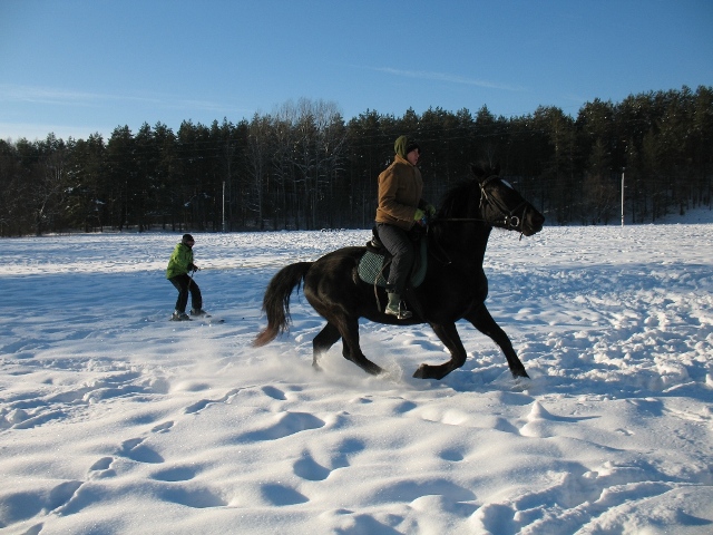 Skijorings ar zirgu